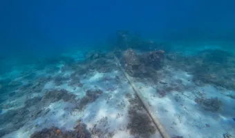 καλώδιο 