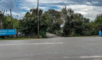 Φονικό στη Φοινικούντα: Γιατί ο ιδιοκτήτης εκποιούσε την περιουσία