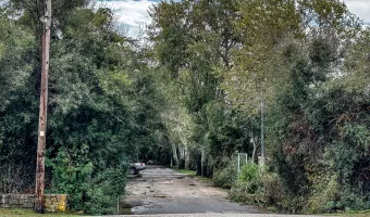 Φοινικούντα