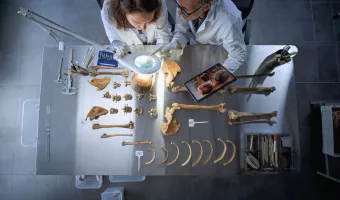 Πώς η πανώλη αφάνισε κοινότητες πριν από 5.500 χρόνια