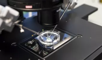 Σπέρμα σε εργαστήριο