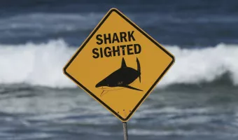 Τρεις επιθέσεις καρχαριών μέσα σε δύο ημέρες στις παραλίες του Σίδνεϊ 