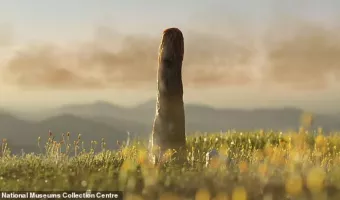 πρωτοταξίτες