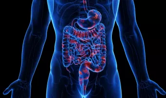 κοιλια εντερο