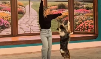 Σκύλος χορεύει το Ferto του Akylas