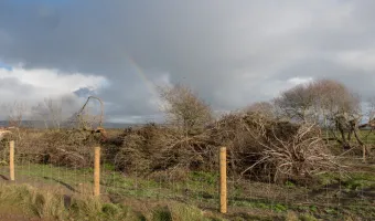 Ακαθάριστα οικόπεδα 