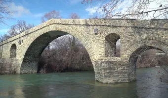 Τα δίδυμα αδέρφια από Καστοριά που βραβεύτηκαν στην Ευρώπη