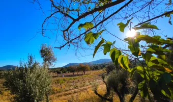 Αγροτεμάχιο