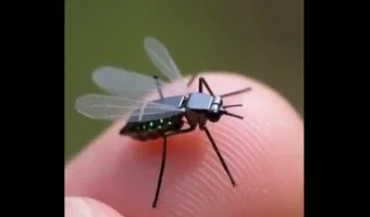drone