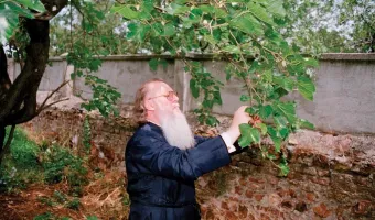 Οικουμενικός Πατριάρχης 