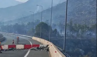 Φωτιά στη Βοιωτία