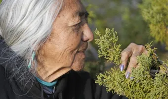 γήρανση 