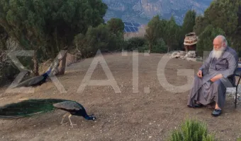 Αρχιεπίσκοπος Ιερώνυμος