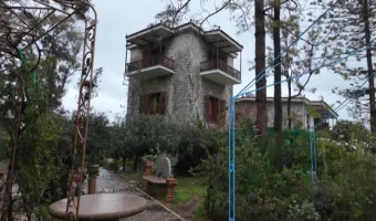 Μίκης Θεοδωράκης