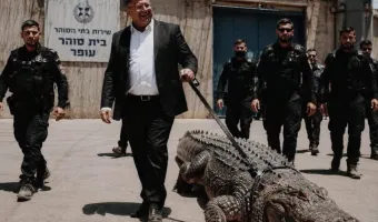 Ισραήλ: Άλλαξαν τον νόμο για να χρησιμοποιηθούν κροκόδειλοι ως… «φρουροί» φυλακών