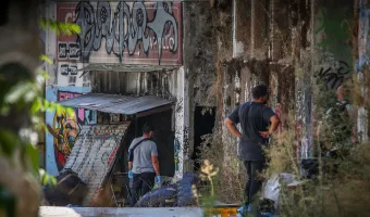 Κυψέλη