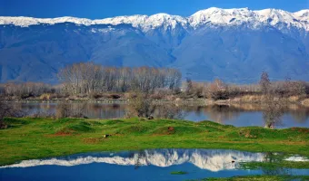 Απόφαση-ορόσημο του ΔΕΕ για τις περιοχές Natura 2000: Χωρίς στόχους διατήρησης δεν μπορούν να αδειοδοτούνται έργα