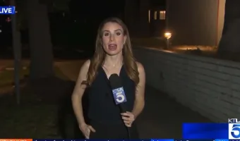 κατσαρίδα