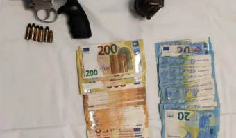 Ευρήματα