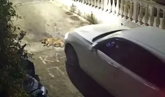 Κέρκυρα