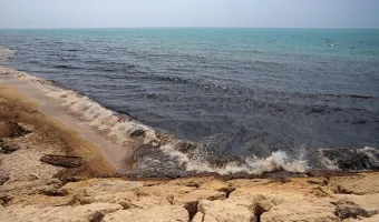 Πετρελαιοκηλίδες στον Περσικό Κόλπο: Το οικολογικό έγκλημα που αφήνει πίσω ο πόλεμος
