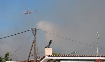 Πυρκαγιές στη Σαλαμίνα: Βρέθηκαν δύο νεκροί