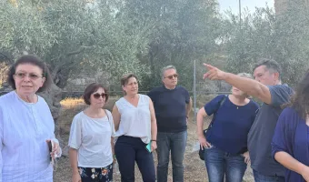 Μενδώνη