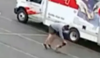 νιουχαμσαιρ