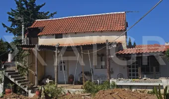 Μαραθώνας: Έθαψε τη μητέρα της πριν από 10 χρόνια για να παίρνει τη σύνταξή