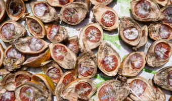 καρποί betel