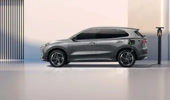 mg