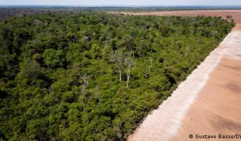 Αποδάσωση Αμαζονίου Βραζιλίας