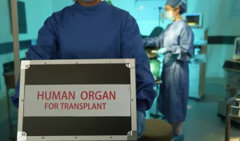 μεταμόσχευση