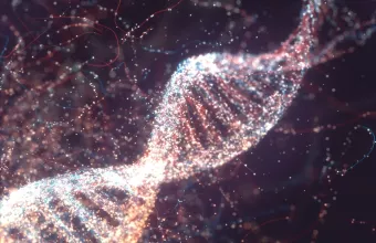 Αρχαίο DNA «μίλησε»: Οι σημερινοί Έλληνες όμοιοι γενετικά με πληθυσμούς Β. Αιγαίου του 2.000 π.Χ