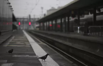 Περιστέρια με μικροσκοπικά καπέλα στα κεφάλια τους κυκλοφορούν στο Λας Βέγκας (pics+vid)