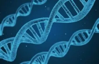 Το αρχαίο DNA «μίλησε»: Οι νέες μελέτες για την ιστορία Ελλάδας, Νότιας Ευρώπης και Ανατολίας