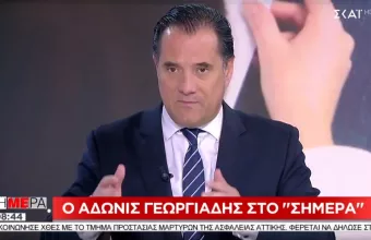 Γεωργιάδης για βίαιη προσαγωγή: Να κάνει τη δουλειά της η αστυνομία