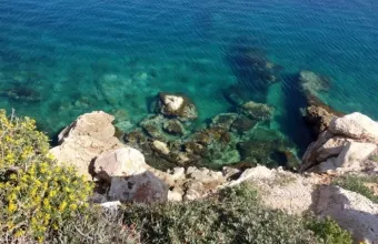 Οκτώ νέα προγράμματα από το Πράσινο Ταμείο
