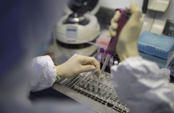 Κορωνοϊός: Εμβόλιο που δοκιμάστηκε σε πιθήκους αποδείχθηκε αποτελεσματικό