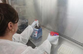 Κορωνοϊός: Δοκιμές εμβολίου σε ζώα ξεκίνησαν Ρώσοι επιστήμονες