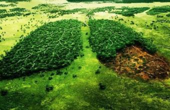 Τι αλλάζει στη ζωή μας με τον νέο περιβαλλοντικό νόμο