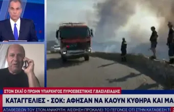 Βασιλειάδης σε ΣΚΑΪ: Στις πυρκαγιές σε Μάνη και Κύθηρα είτε μου στερήθηκαν τα εναέρια μέσα είτε μου αφαιρέθηκαν 