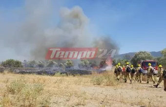 Φωτιά στην Κάτω Αχαΐα - Ισχυρές δυνάμεις στην περιοχή (Βίντεο)