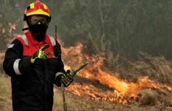 Πυρκαγιά σε δασική έκταση στην περιοχή Αγνάντιο Βοιωτίας