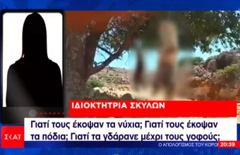 Οι φρικτές κακοποιήσεις ζώων και η δικαίωση που δεν έρχεται
