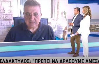 Εξαδάκτυλος σε ΣΚΑΪ: Δεν αποκλείεται να φτάσουμε τα 600 κρούσματα την ημέρα 