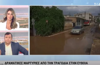 Μαρτυρία κατοίκου από Λευκαντί Ευβοίας σε ΣΚΑΪ: Ξυπνήσαμε και είδαμε ποτάμια νερού και λάσπης