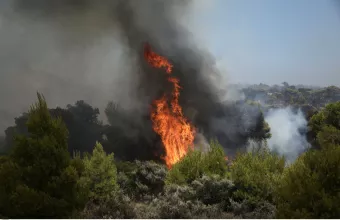 Πυρκαγιά στην Άνδρο