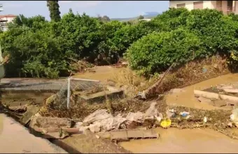 Ιωάννα Τσικουδή για Εύβοια: Δεν ξέρω αν έχει ξανασυμβεί κάτι τέτοιο Αύγουστο μήνα