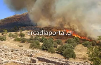 Πυρκαγιά στις Μυκήνες – Εκκενώθηκε ο αρχαιολογικός χώρος (pics, vid)